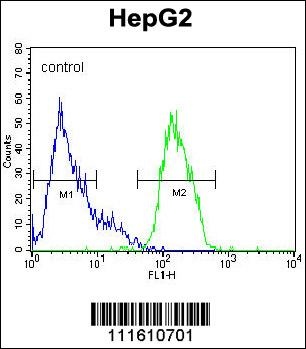 MAPK1 Antibody