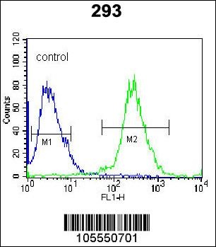 UCK2 Antibody