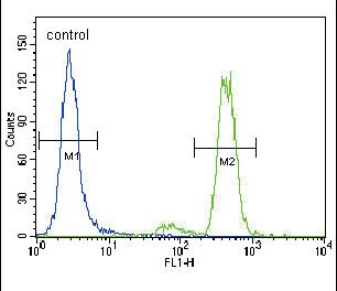 PKC alpha Antibody