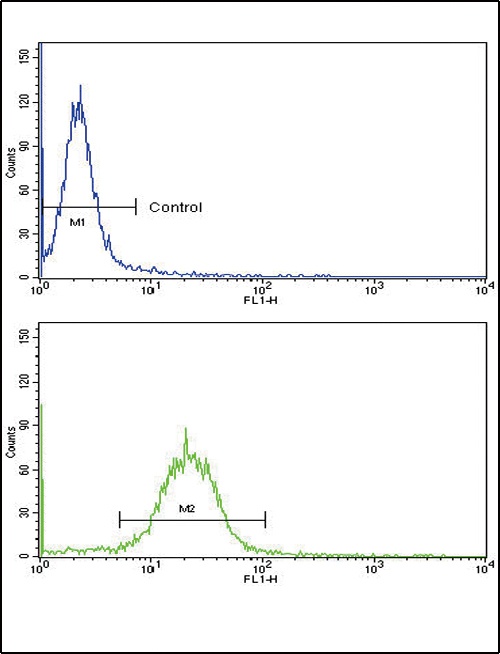ARGBP2 Antibody