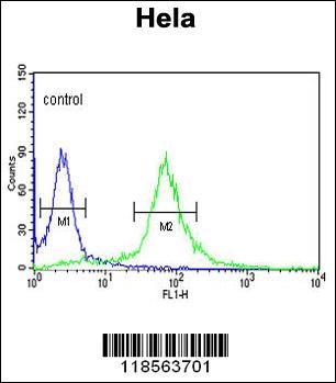 PIK4CB Antibody