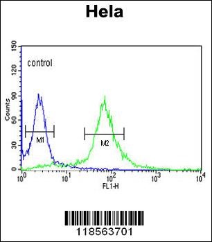 PI4KB Antibody