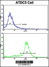 NDUFS4 Antibody