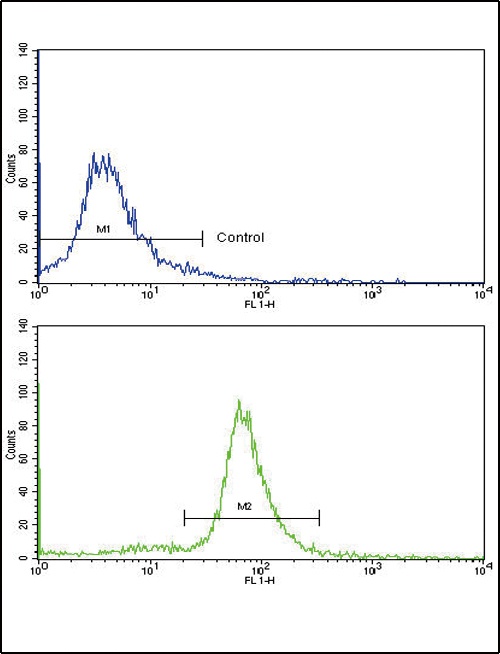 OTC Antibody