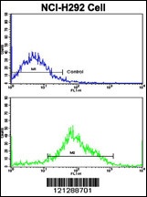 MyoGEF Antibody