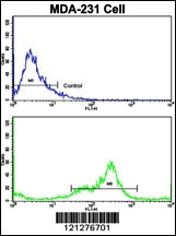VCP Antibody