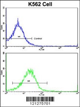 UNC5C Antibody