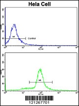 SRP72 Antibody