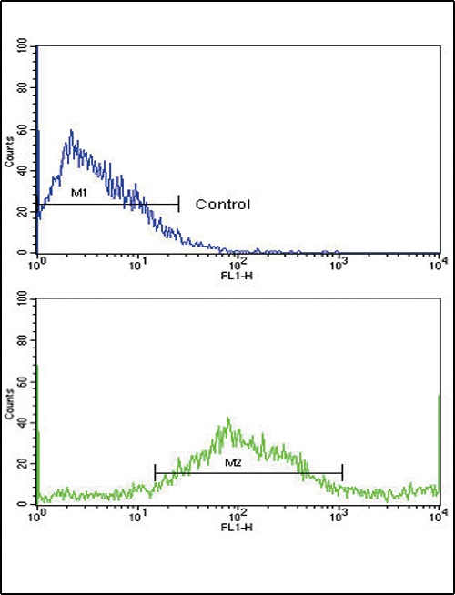 SAR1A Antibody