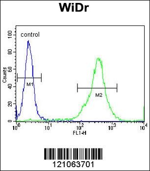 FAM3B Antibody