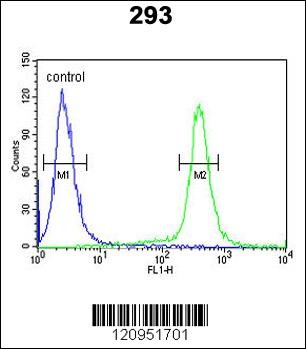 ESPN Antibody