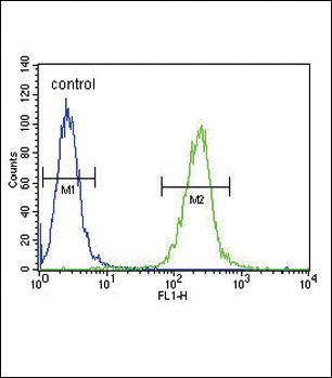 SPINK5 Antibody