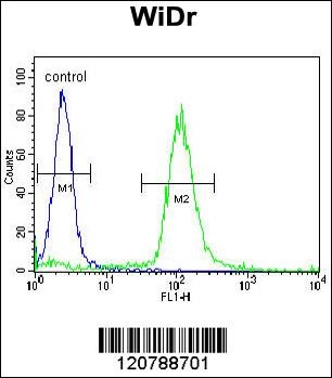 SRSF1 Antibody