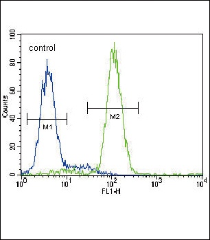 HMGCS2 Antibody