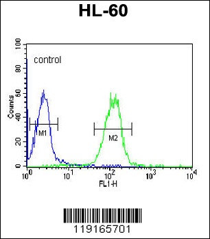 APOL4 Antibody