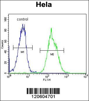 MAPRE1 Antibody