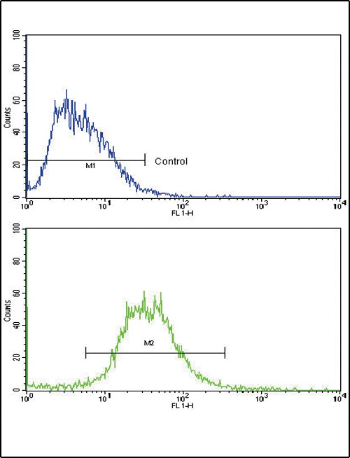 IL17RB Antibody