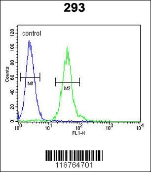 M-CSF Antibody