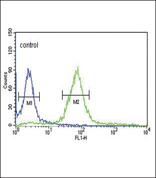 HPRT1 Antibody