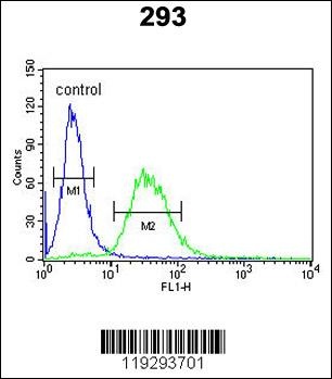 F10 Antibody