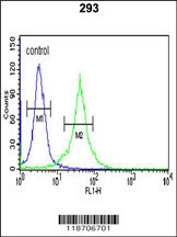 DCD Antibody