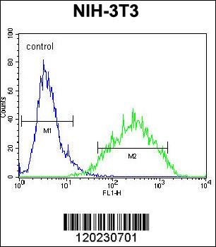 RAN Antibody