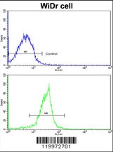 XPO1 Antibody