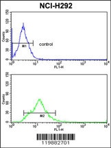 TAGLN Antibody