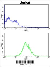 CDCA3 Antibody