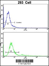 BAALC Antibody