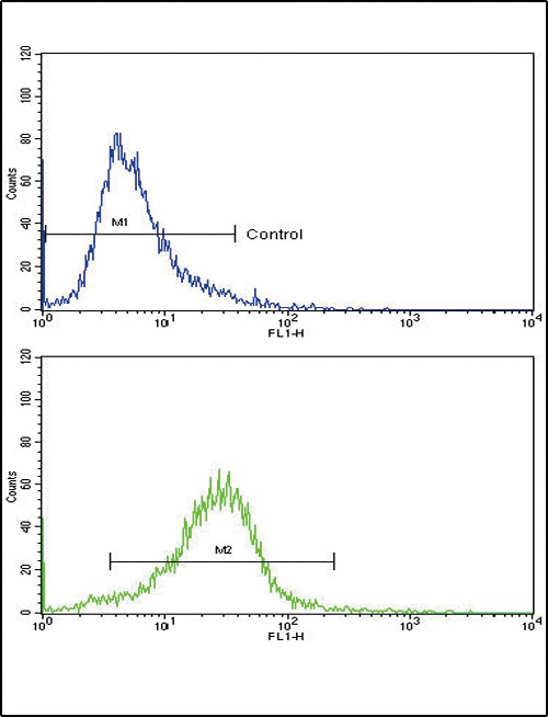 COL6A1 Antibody