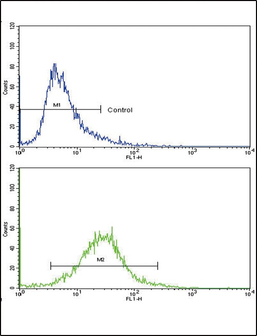 COL6A1 Antibody