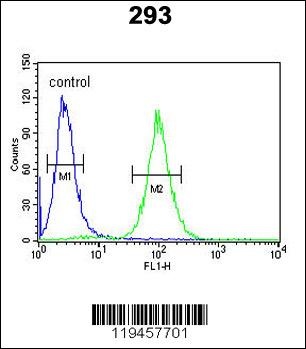SPB3 Antibody