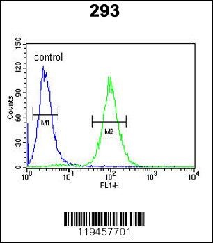 SERPINB3 Antibody