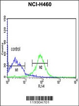 FKBP14 Antibody