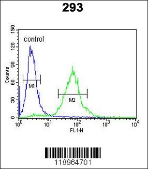 SETD8 Antibody