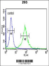 WTX Antibody