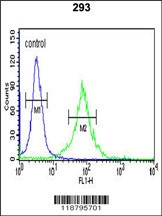 AMER1 Antibody