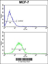 CASA Antibody