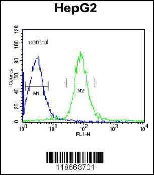 VHL Antibody