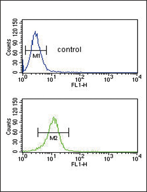 CD40LG Antibody