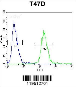 FGB Antibody