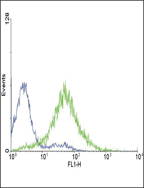 EDNRA Antibody
