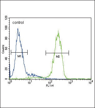 ATP7B Antibody