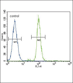 CD14 Antibody