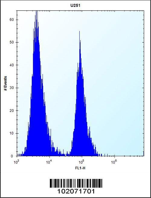 ST5 Antibody