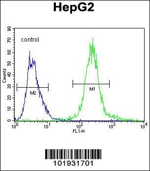 SEPT9 Antibody