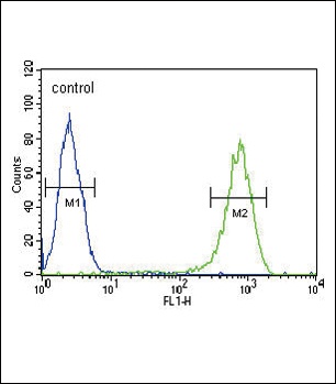 SFN Antibody