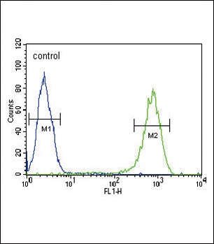 SFN Antibody