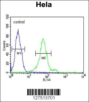 DDX47 Antibody